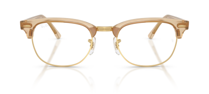 RX5154 8294 53 Optics Change